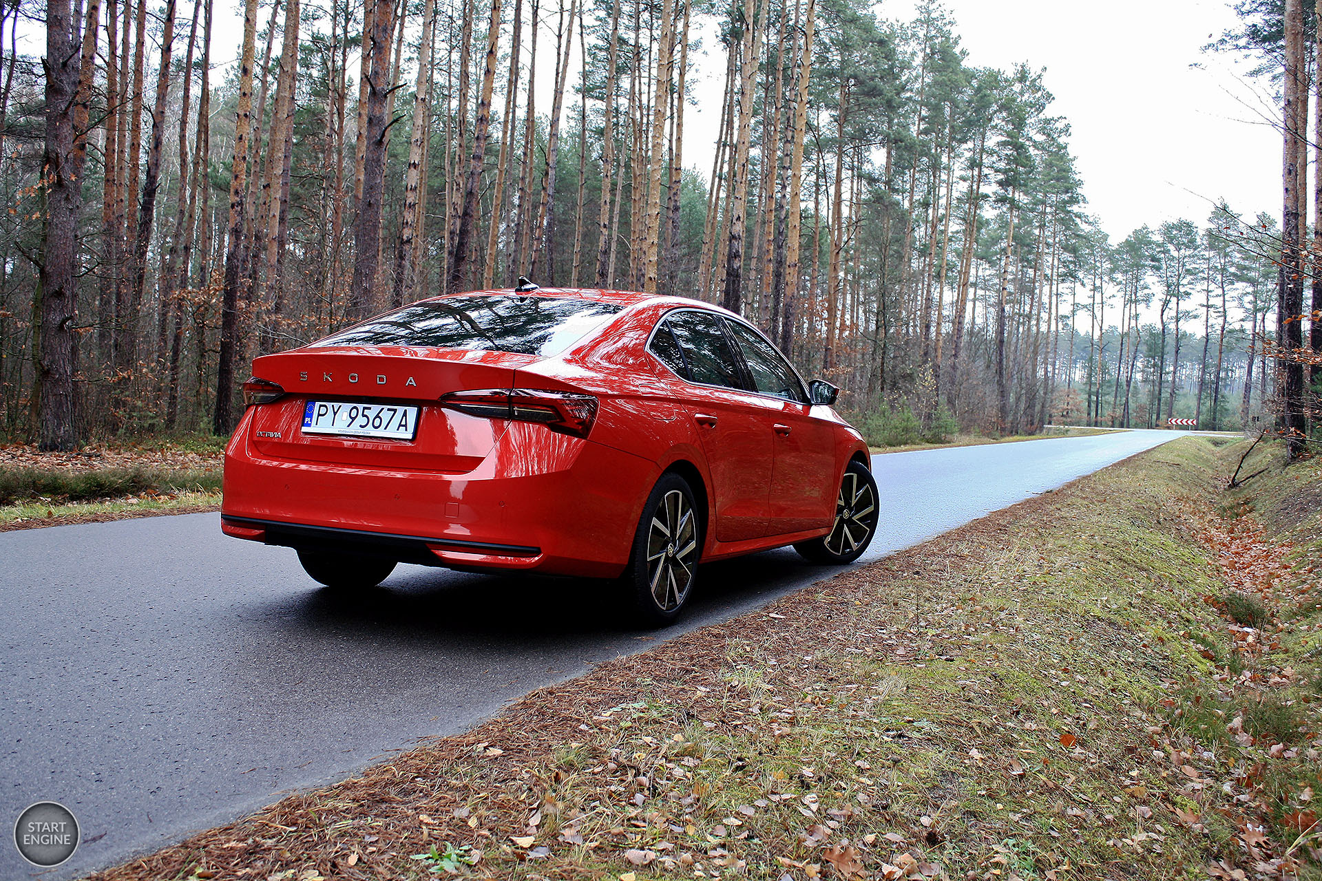 Škoda Octavia Selection 1.5 TSI 150 KM MHEV DSG7 (2024)