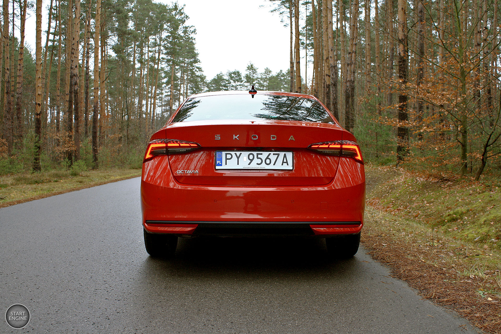 Škoda Octavia Selection 1.5 TSI 150 KM MHEV DSG7 (2024)