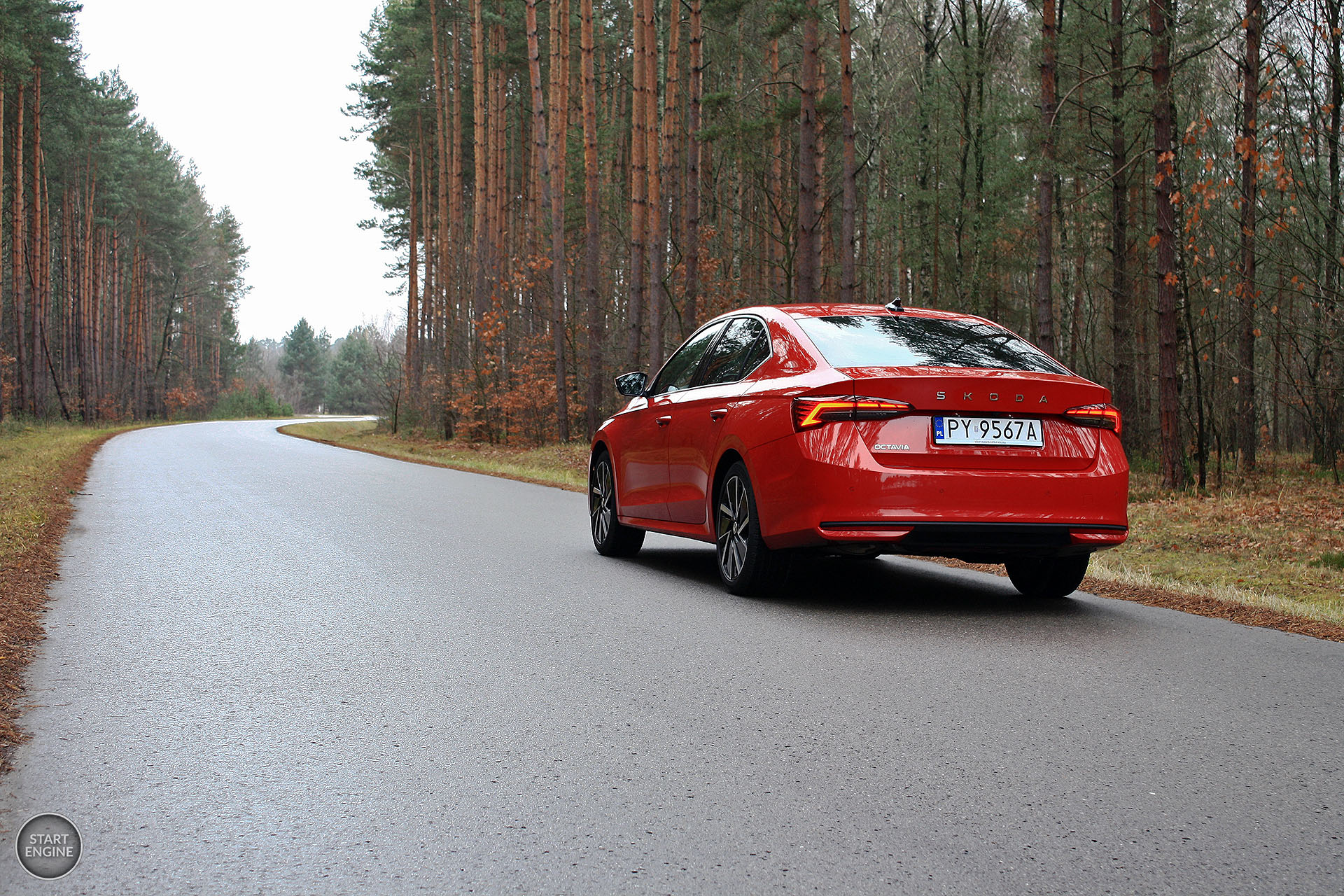 Škoda Octavia Selection 1.5 TSI 150 KM MHEV DSG7 (2024)