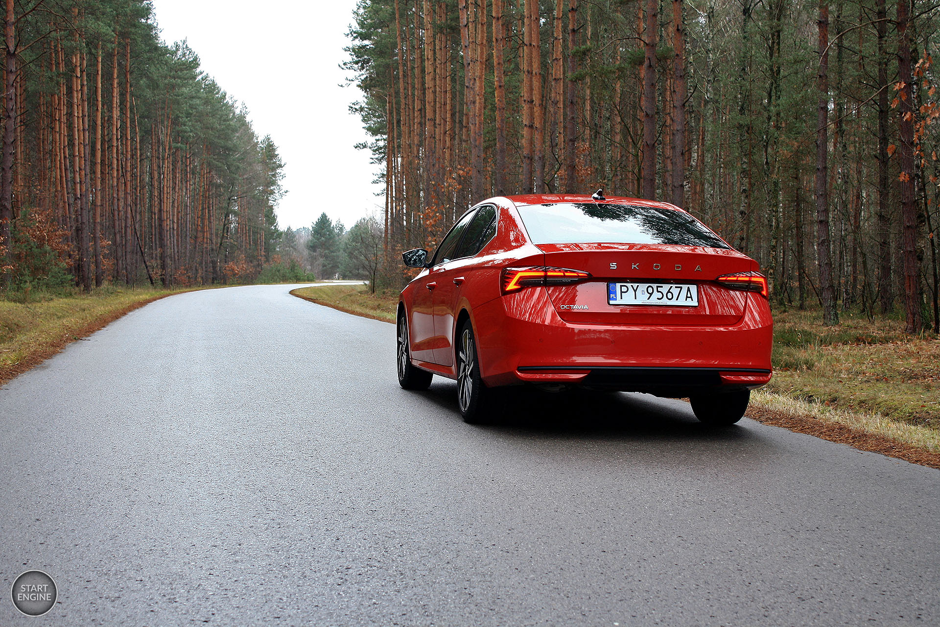 Škoda Octavia Selection 1.5 TSI 150 KM MHEV DSG7 (2024)